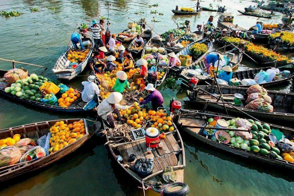 Trải nghiệm nét văn hóa đầy ấn tượng tại chợ nổi Cái Răng